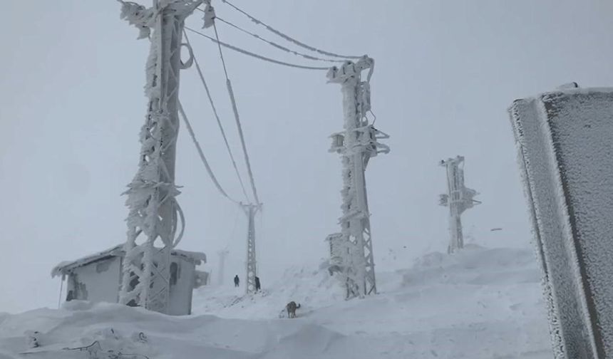 Derecik’te Sibirya’yı aratmayan soğuklarda, elektrik direkleri buz tuttu