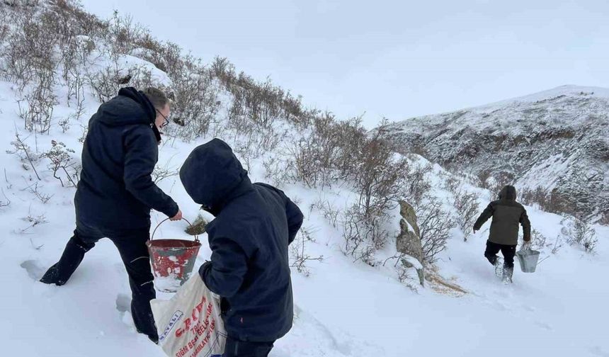 Kars’ta yaban hayvanları için doğa yem bırakıldı