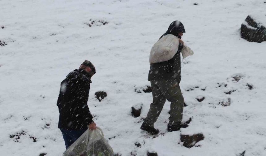 Kırsalda kar esareti devam ederken yaban hayvanları unutulmadı