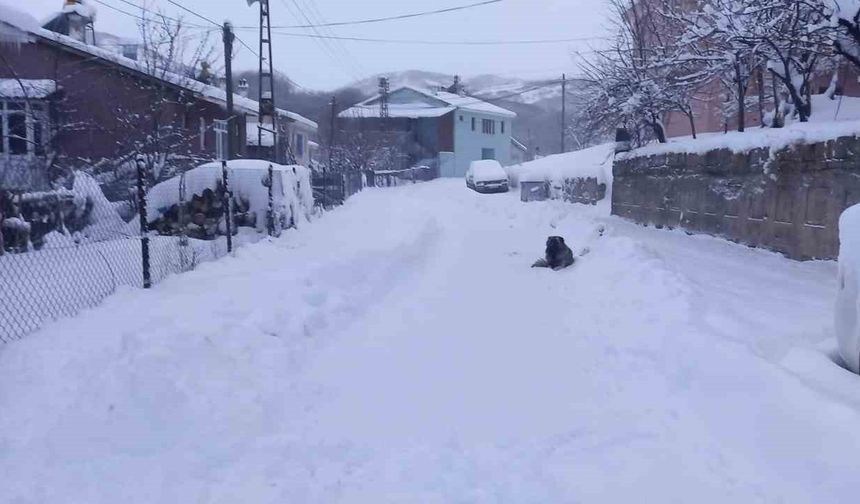Tunceli’de 251 köy yolu ulaşıma kapandı