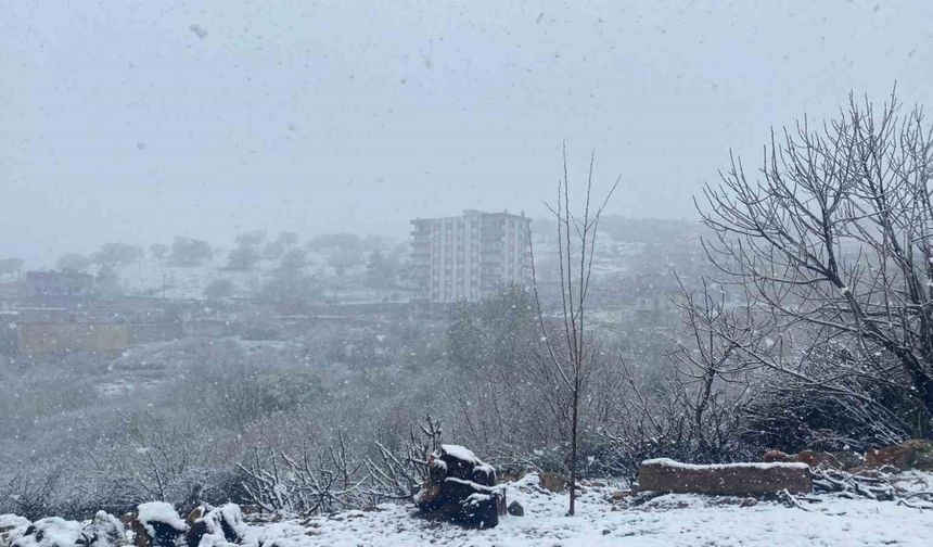 Diyarbakır’da etkili olan kar yağışı çiftçiyi hem sevindirdi hem de korkuttu