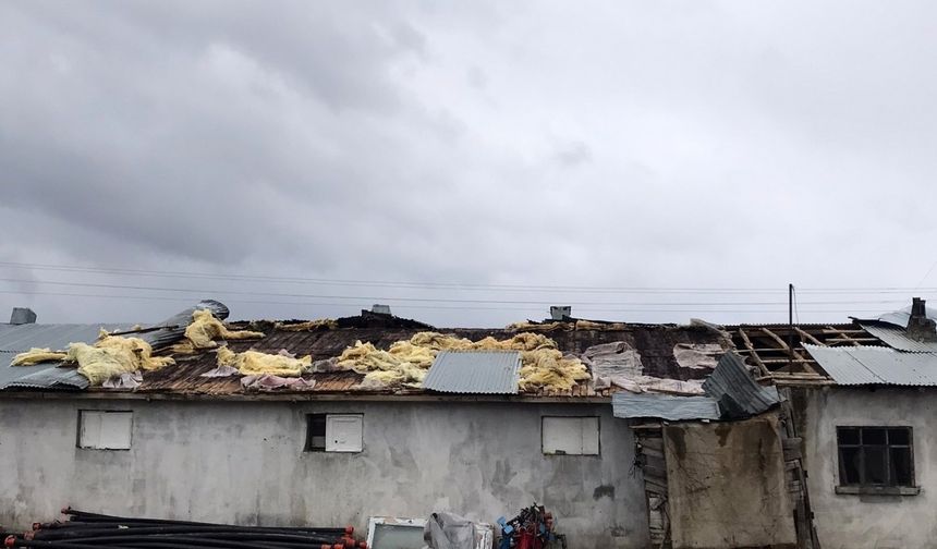 Fırtınanın çatısını uçurduğu ahırda 15 kuzu telef oldu