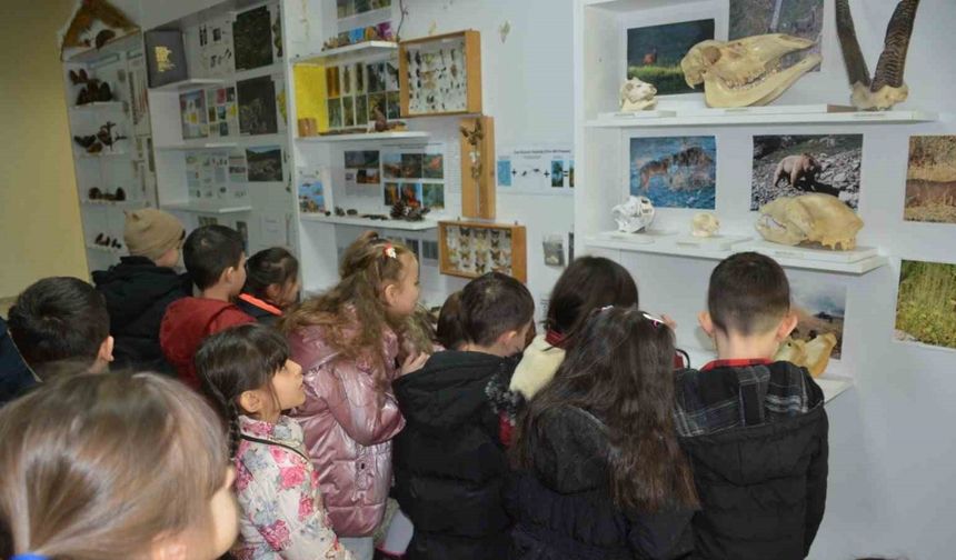 Öğrenciler doldurulmuş hayvan müzesini inceledi