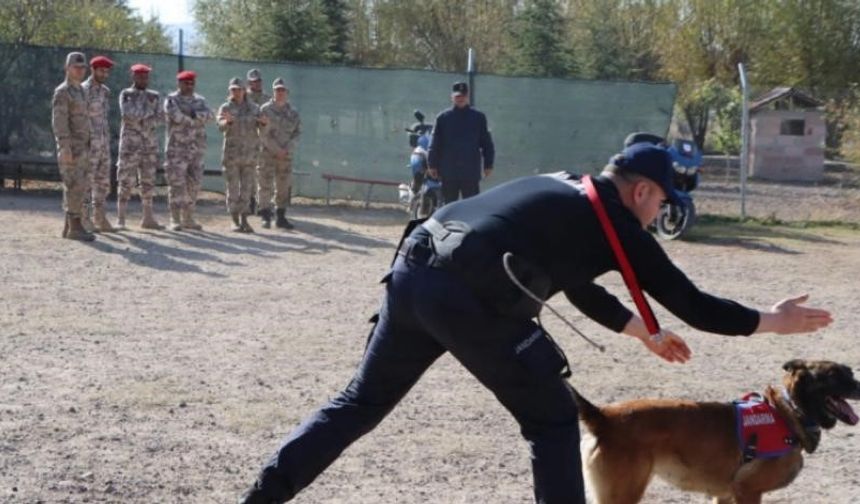 JAKEM köpekleri hünerlerini Katarlı askerler için sergilediler