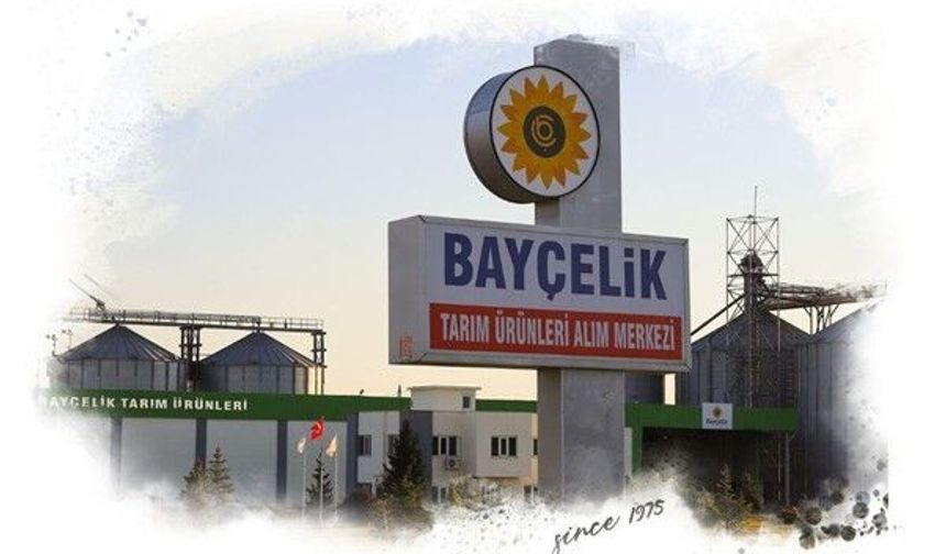 Toptan Ayçekirdeğinde Lider Marka : Bayçelik