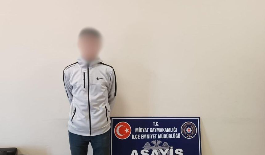 Mardin’de hırsızlık şüphelisi 2 kişi tutuklandı