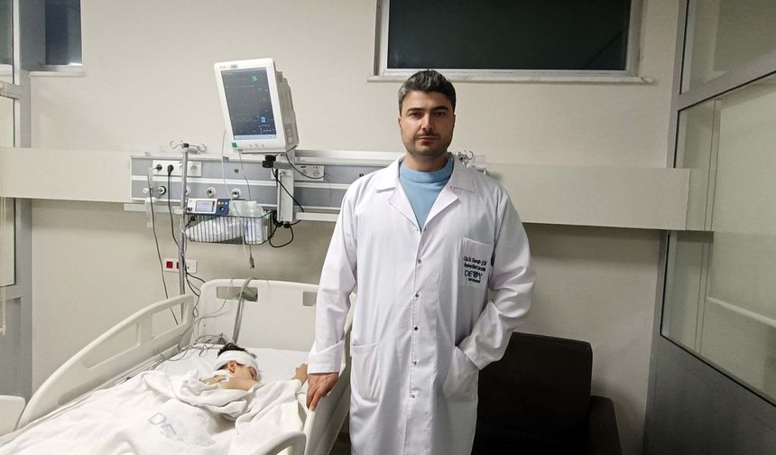 Başıboş Köpekler Küçük Çocuğu Parçaladı