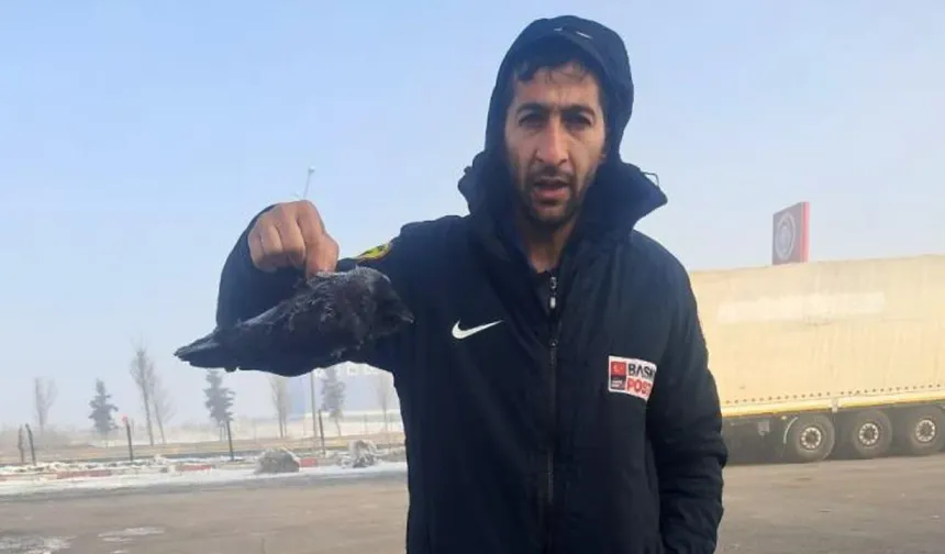 Karga Donarak Hayatını Kaybetti