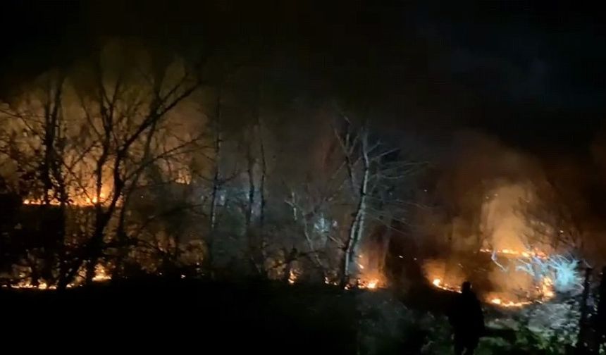 Bursa’da ormanlık alanda yangın