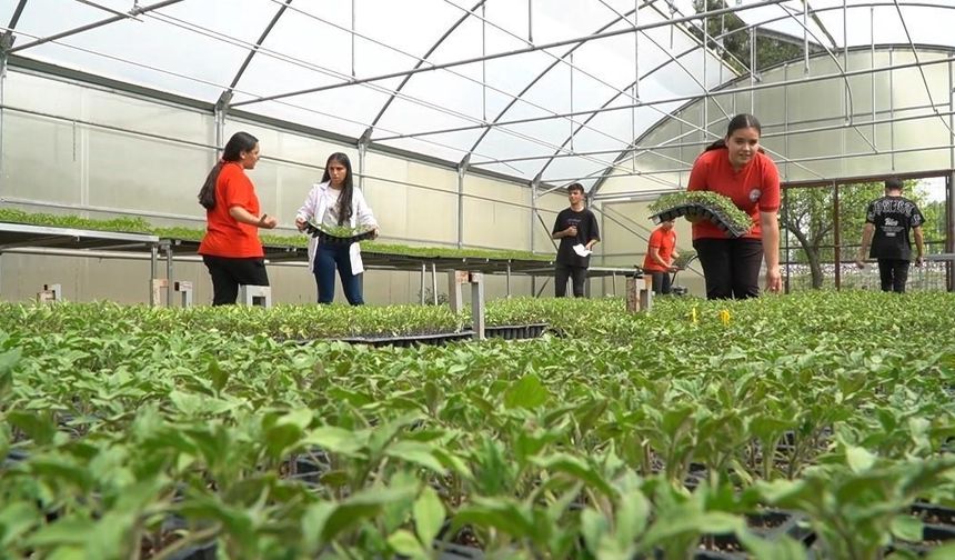 Erzincanlı Öğrencilerden Büyük Başarı: Serada 30 Bin Fide Yetiştirdiler