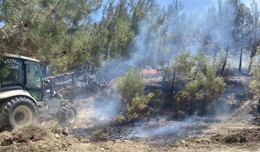 Çanakkale’de tarım arazisinde başlayan yangın ormanlık alana sıçradı