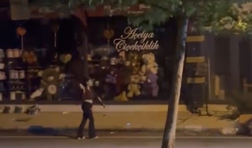 Elazığ’da kadın, bir iş yerine taşla saldırdı