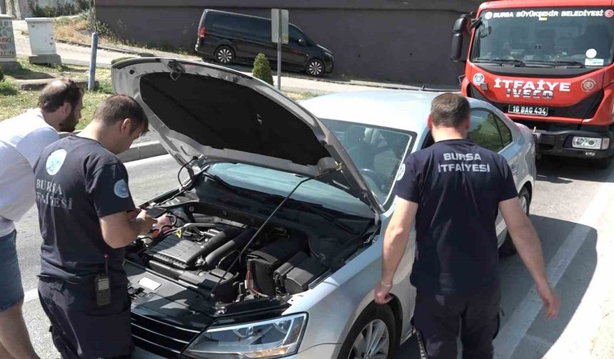 Yavru kedi, trafiği kilitledi