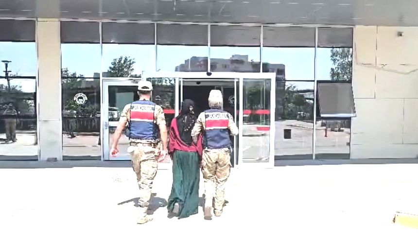 Su bidonunda tabanca, saksılarda kenevir ele geçirildi; 7 gözaltı