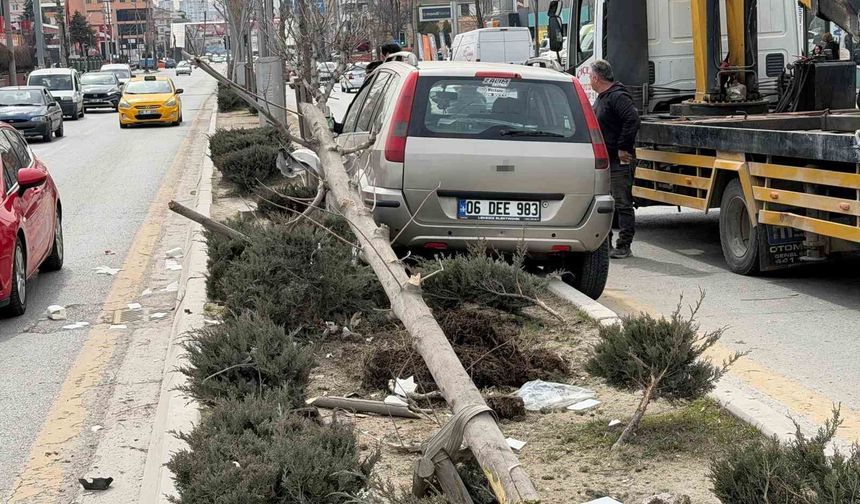 Bir araç, yayalara çarptı: 1'i ağır, 2 yaralı
