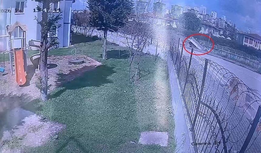 Demir korkulukları aşıp dereye düşen kamyonetin sürücüsü hayatını kaybetti