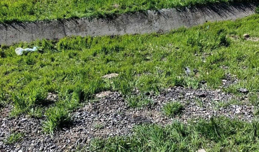 Direksiyonun hakimiyetini kaybettiği taksi takla attı: Kazada 1'i ağır 4 kişi yaralandı