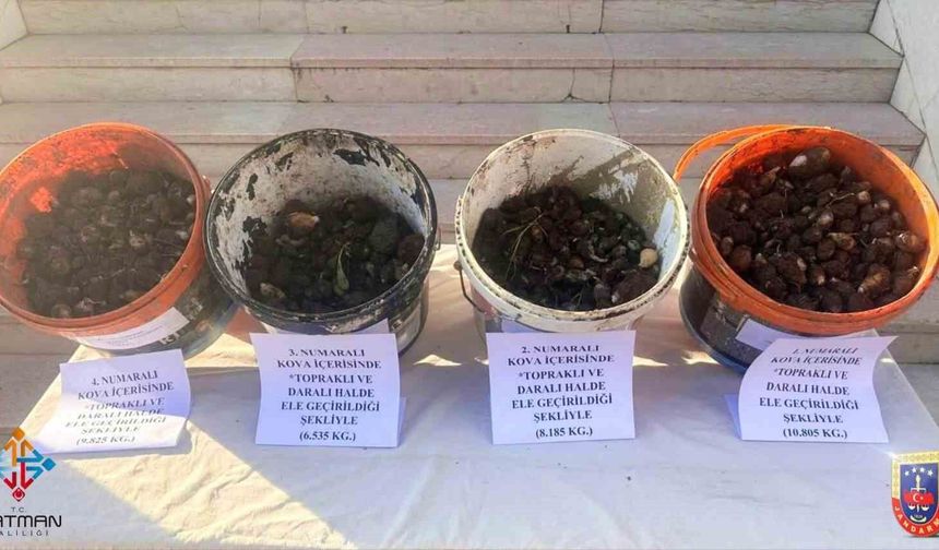 Endemik bitki operasyonu: 4 kişiye 2 milyon 8 bin lira ceza