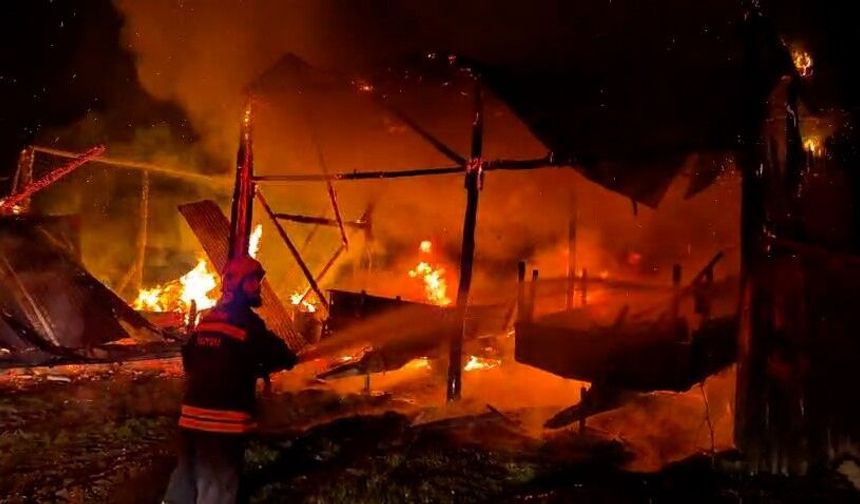 Yıldırım Düşmesi Yangına Neden Oldu: Samanlık ve Traktör Küle Döndü