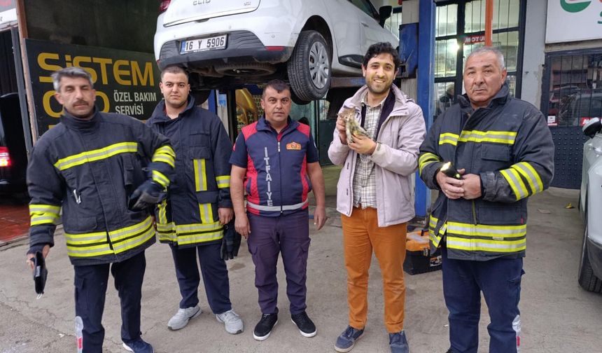Erzincan’da Otomobilin Motoruna Giren Yavru Kedi Sanayide Kurtarıldı