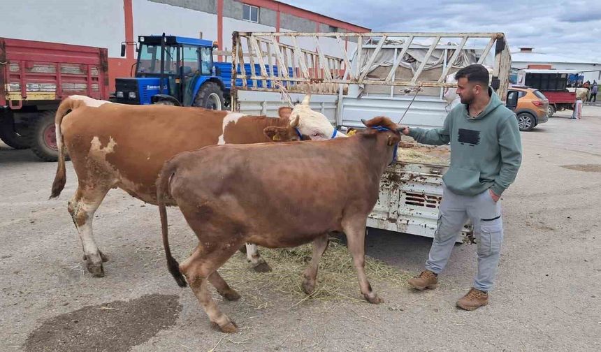 Kurban pazarı hareketlendi