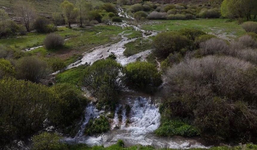Ağ Nene'nin gizemli suyu yeniden uyandı