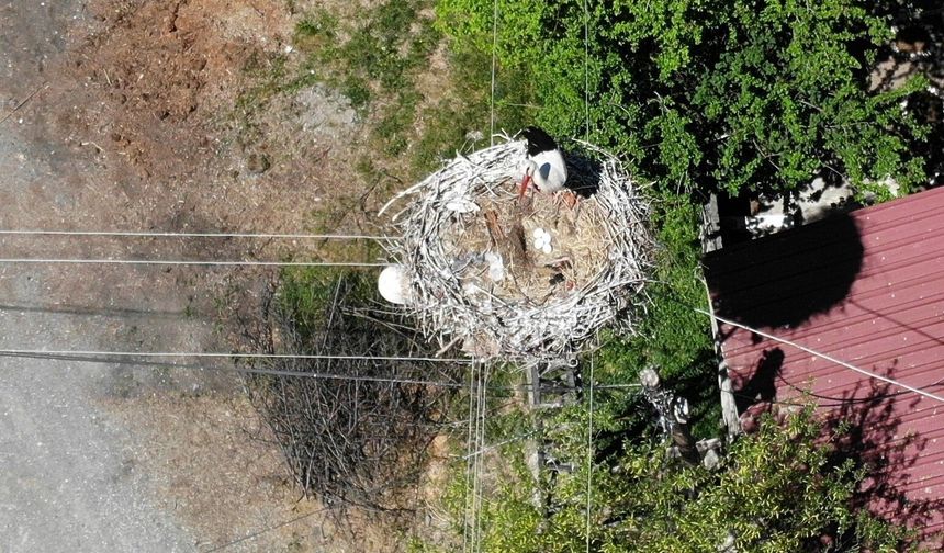Erzincan’da 23 Yıldır Aynı Yuvaya Dönüyorlar