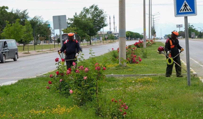 Erzincan'da yeşil alanlarda bakım çalışmaları sürüyor