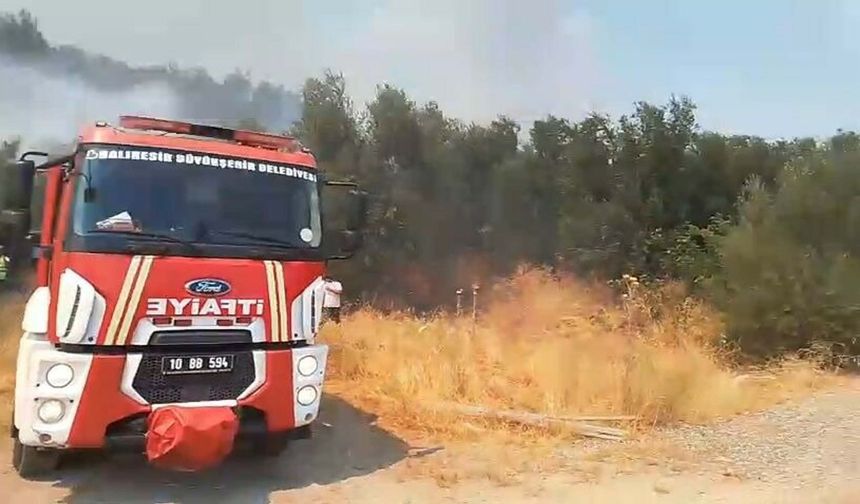 Balıkesir'de orman yangını