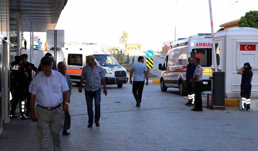 Arı sokmasına bağlı ciddi alerjik reaksiyonlar ölüme sebep olabilir