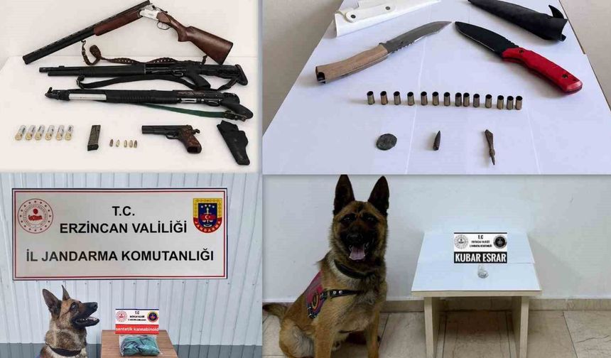 Erzincan'da Haziran ayında 217 olayın yüzde 98'i aydınlatıldı