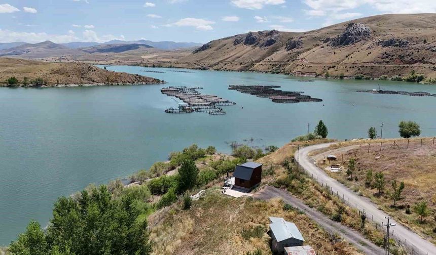 Erzincan’da Yetiştirilen Alabalıklar Türk Somonuna Dönüşüyor