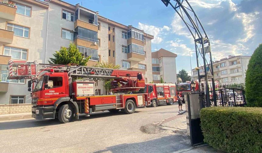 Yangında duygulandıran kurtarma: Anne kedi ve 2 yavrusu hayata döndürüldü