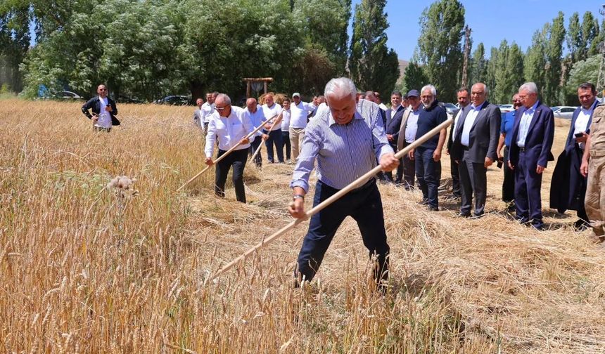 Binali Yıldırım Harman Şenliği'nde tırpan salladı