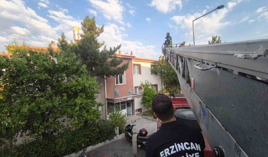 Erzincan'da çatıdaki kedi itfaiye ekiplerince kurtarıldı