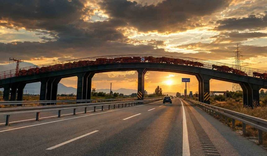 Erzincan’da Ekolojik Üst Geçit Besicilerin Güvenli Güzergâhı Oldu