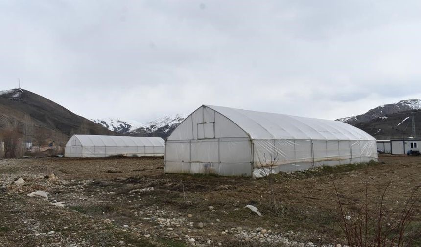 Erzincan'da sera örtüsü yenileme desteği başvuruları uzatıldı