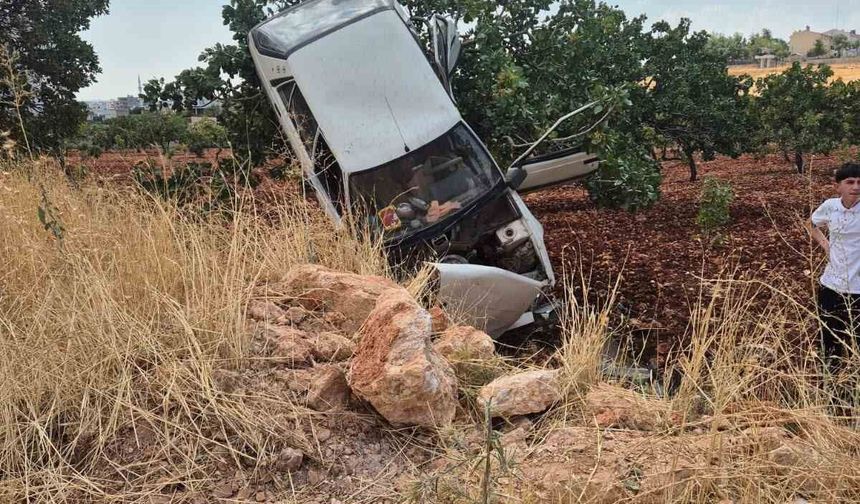 Kaza yapan otomobil fıstık ağacında asılı kaldı: 2 yaralı