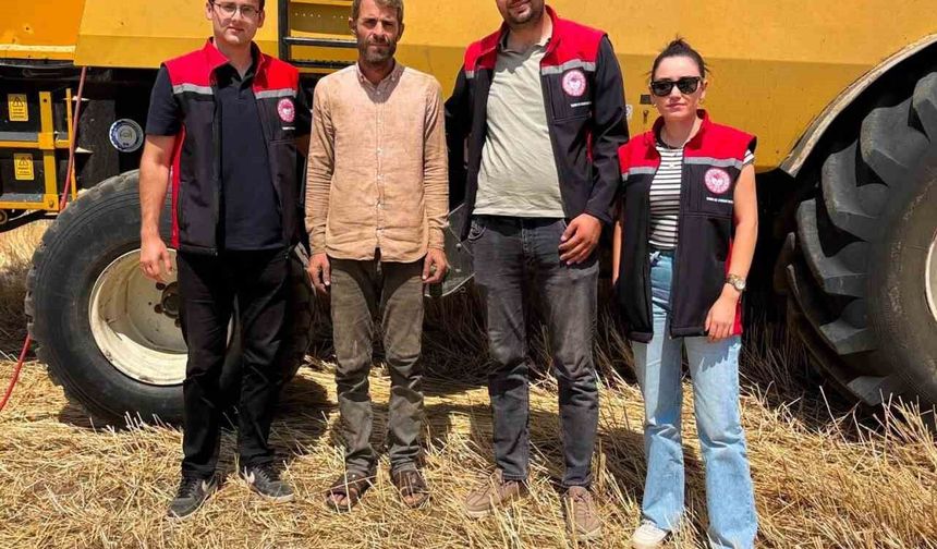 Otlukbeli’nde Hububat Hasadı Sürüyor