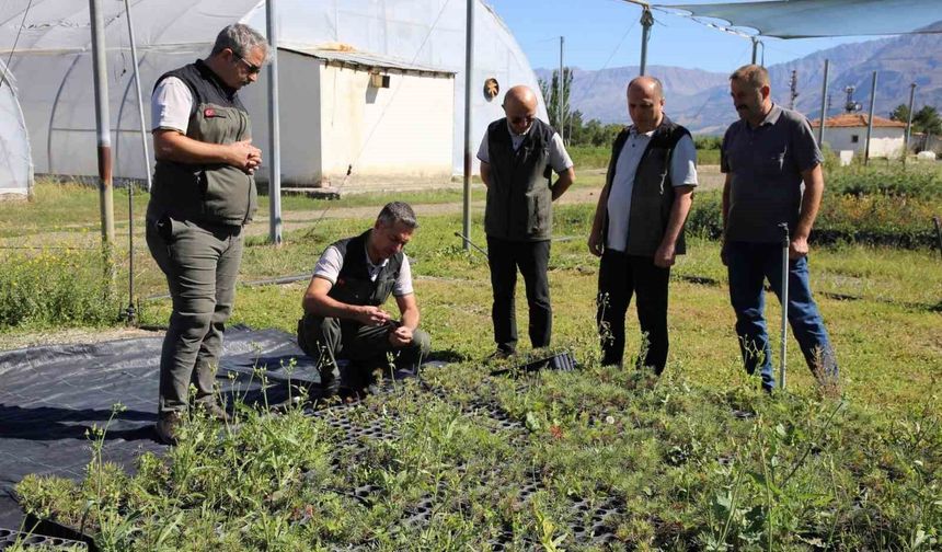 Erzincan Fidanlık Şefliğinde 2026 yılı üretim çalışmaları incelendi