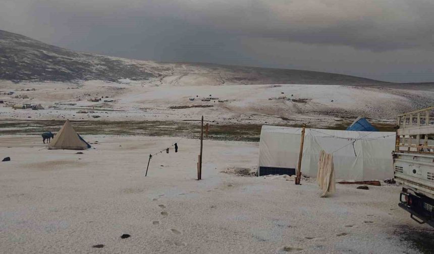 Erzincan yaylalarında dolu yağışı kar gibi araziyi beyaza bürüdü
