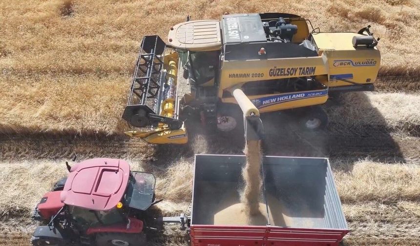 Fırat’ın Suyu Erzincan Ovası’nda Bereket Oldu