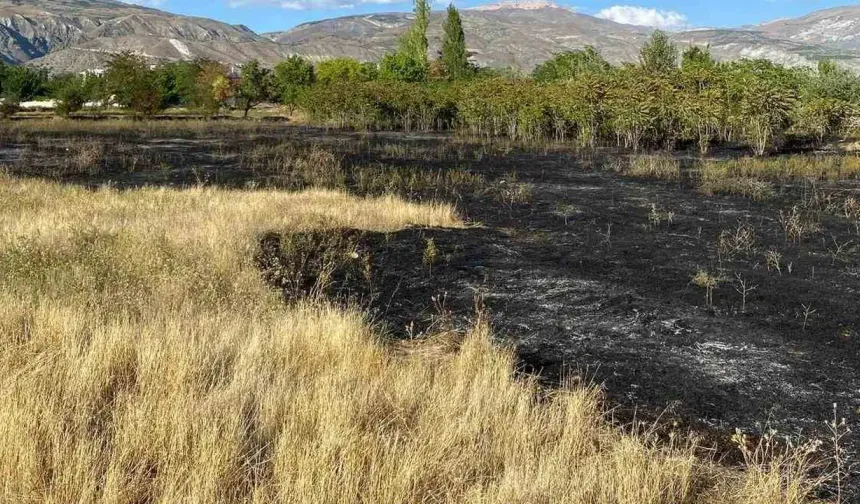 Erzincan'da anız yangını büyümeden söndürüldü