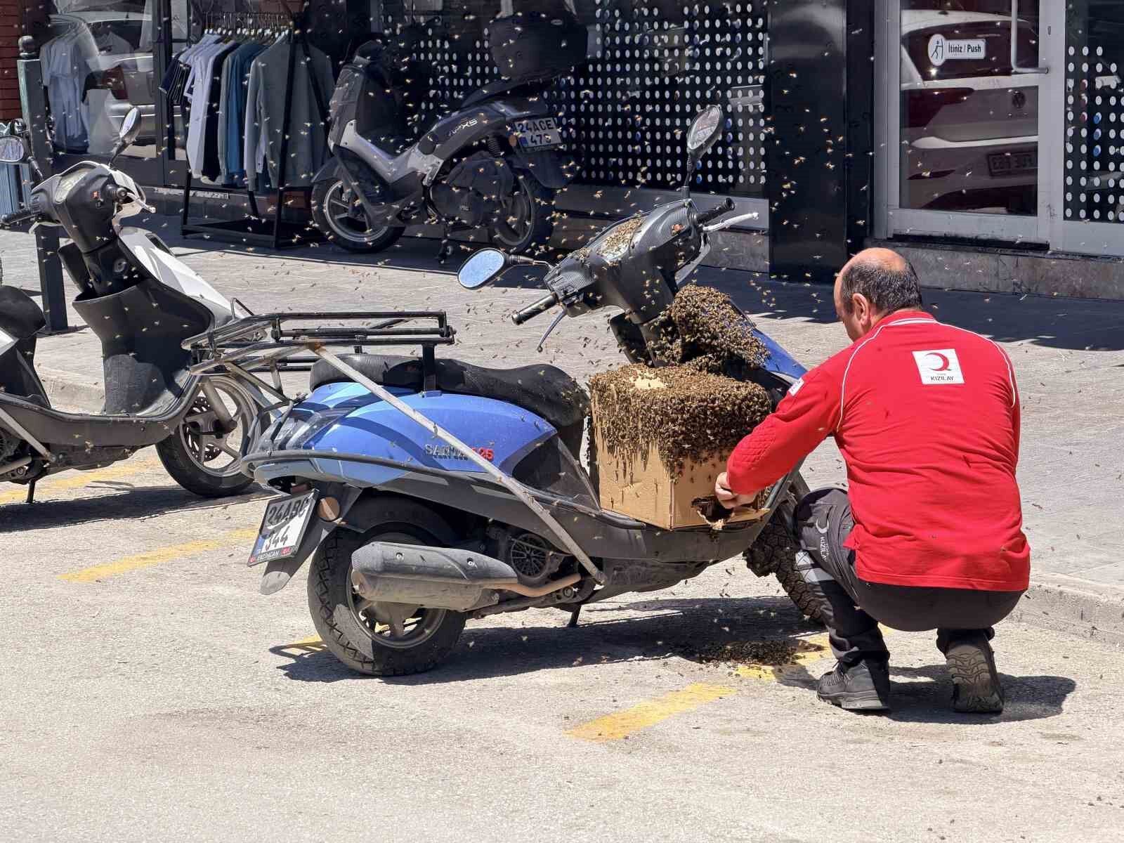 Erzincan’da Oğul Veren Arılar Motosiklete Kondu