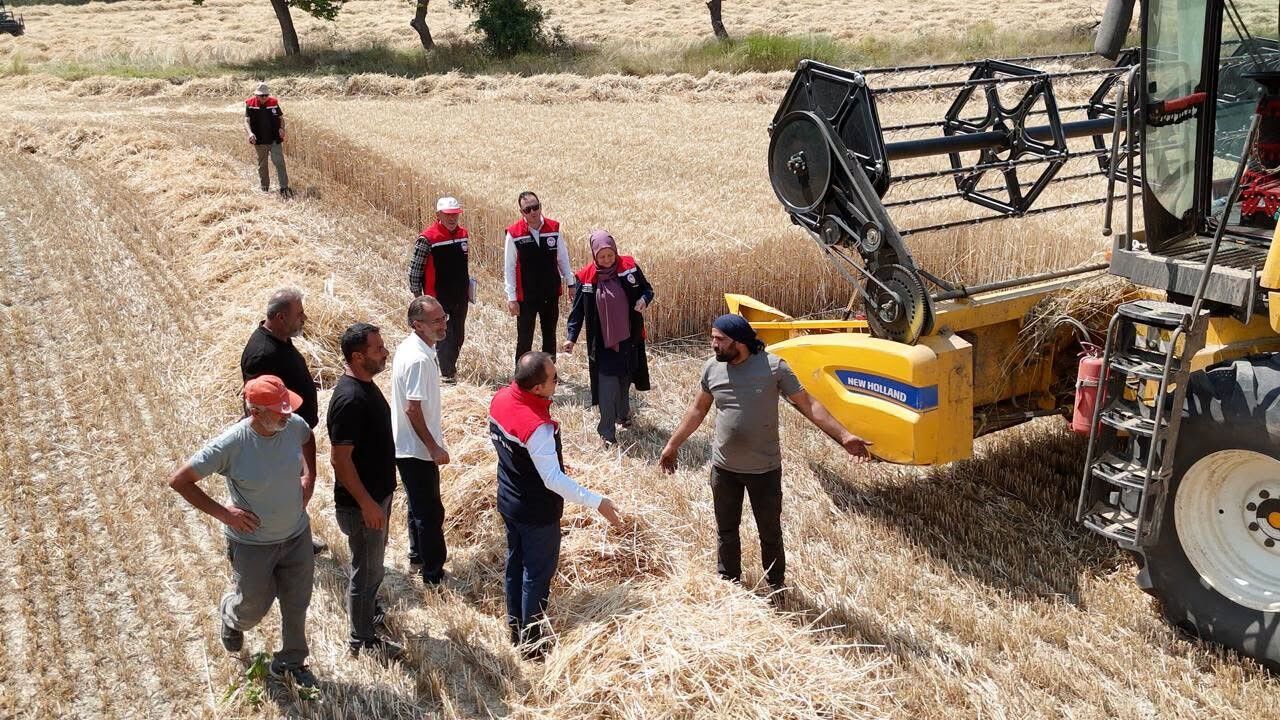 Erzincan'da buğday hasadı sürüyor, biçerdöverler denetlendi