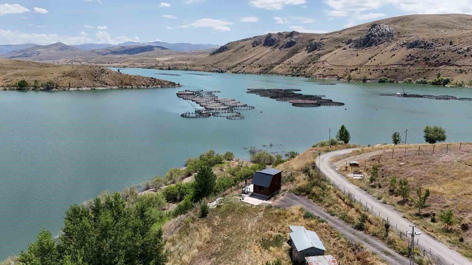 Erzincan’da Yetiştirilen Alabalıklar Türk Somonuna Dönüşüyor
