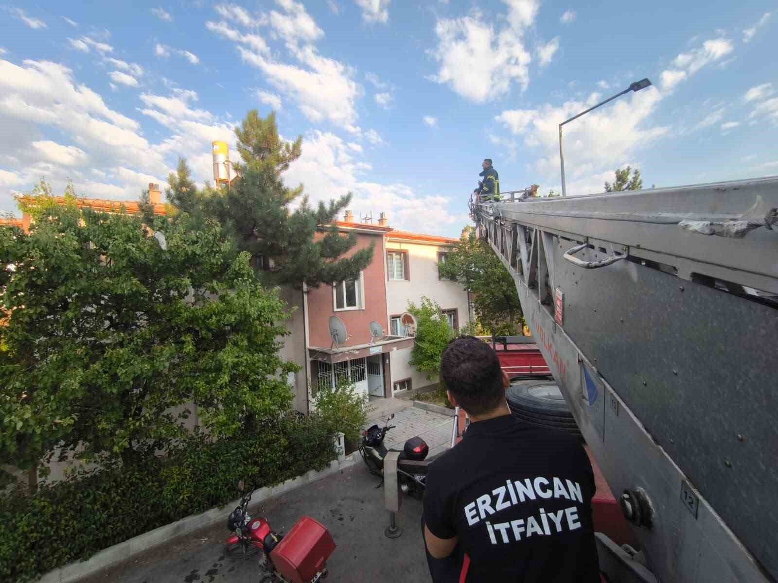 Erzincan'da çatıdaki kedi itfaiye ekiplerince kurtarıldı