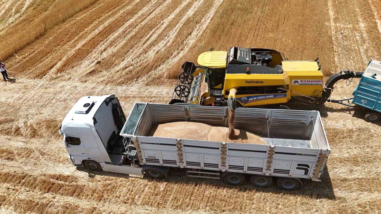 Tercan'da hububat hasadı başladı, çiftçinin emeği biçerdöverlerle tarladan toplandı