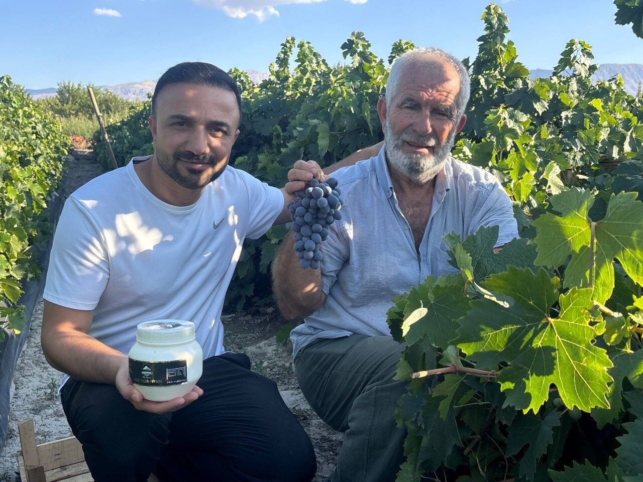 Erzincan'da 200 yıllık bağlarda Cimin Üzümü hasadı başladı
